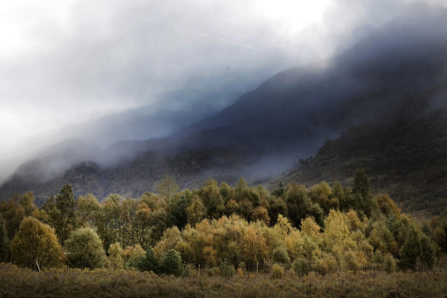 Misty glen near Spean Lodge